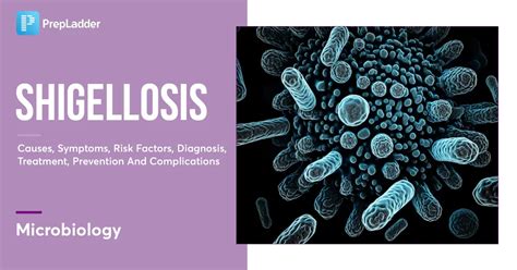 Shigellosis: Causes, Symptoms, Risk Factors, Diagnosis, Treatment ...