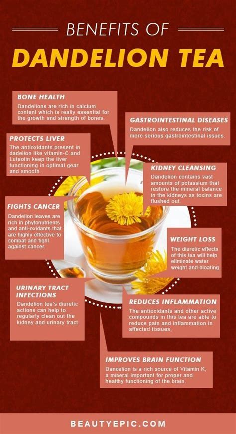 7 Stunning Health Important things about! in 2020 | Dandelion tea ...