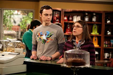 How did Sheldon and Amy meet in The Big Bang Theory?