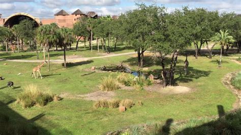 Disney's Animal Kingdom Lodge Savannah View Room | The View from our Room - YouTube