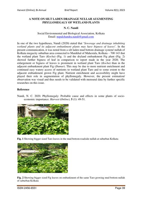 (PDF) A NOTE ON SILT LADEN DRAINAGE NULLAH AUGMENTING PHYLLOMEGALY OF WETLAND PLANTS