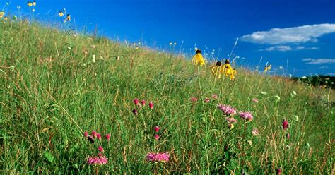 Stories from The Nature Conservancy in Wisconsin