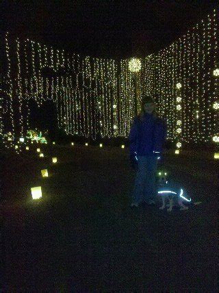 Huntsville Botanical Gardens Galaxy of Christmas Lights (Ider: live ...