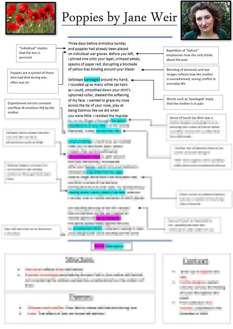 Poppies Analysis In Poem Analysis Gcse Poems English | sexiezpix Web Porn