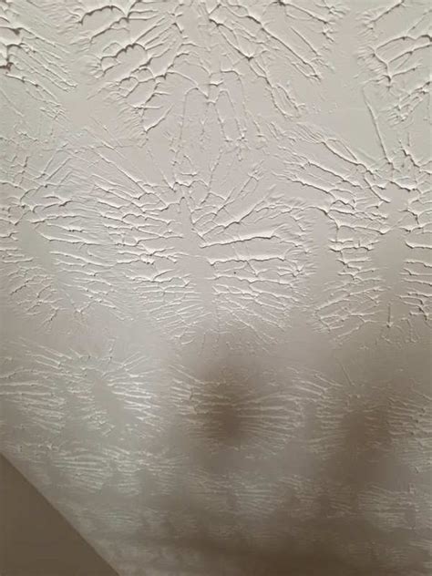 Stomp Textured Ceiling Paint | Shelly Lighting