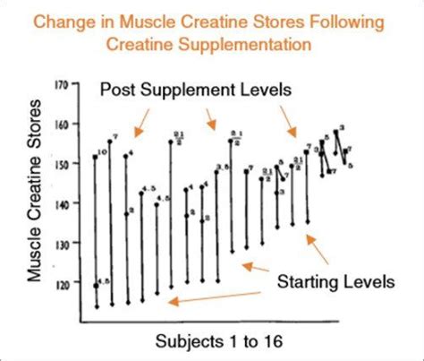 Changes In Creatine Stores Following Creatine 500 | Creatine, Gain ...