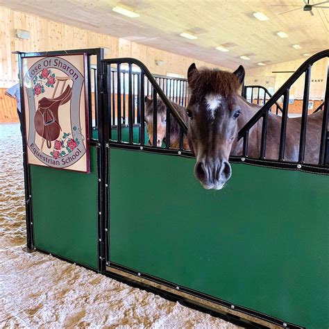 New! Portable Miniature Horse Stalls from American Stalls - STABLE STYLE