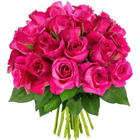 Bouquet de 30 Roses Fuchsias - Livraison Express | Florajet