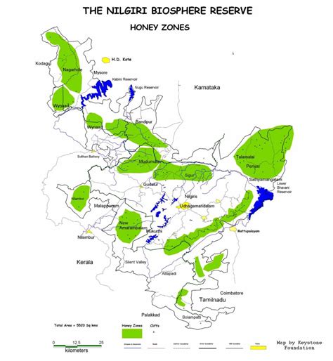 Indigenous People of the Nilgiri Biosphere Reserve – Honey Portal