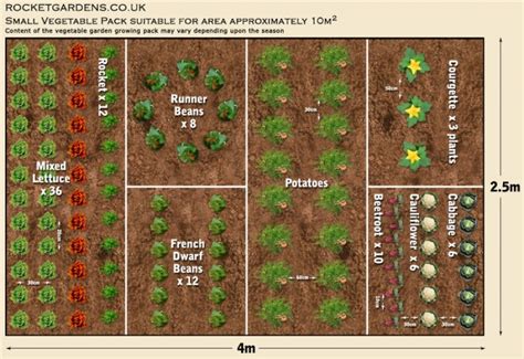 19 Vegetable Garden Plans & Layout Ideas That Will Inspire You - Homesteading Alliance