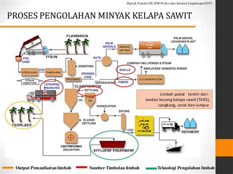 Proses Pengolahan Limbah Padat Kelapa Sawit - IMAGESEE