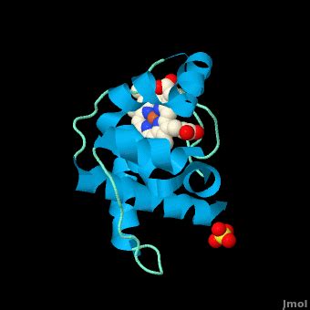 Cytochrome c - Proteopedia, life in 3D