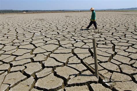 Dry season editorial stock image. Image of indonesia - 31642749