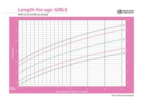 Grafik Tinggi Badan Menurut Umur Anak dari WHO