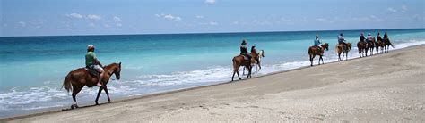 Horseback Riding on the Beach | St. Lucie County, FL