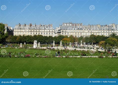 Green Lawn in Front of Louvre in Paris Editorial Stock Image - Image of light, glass: 76645984