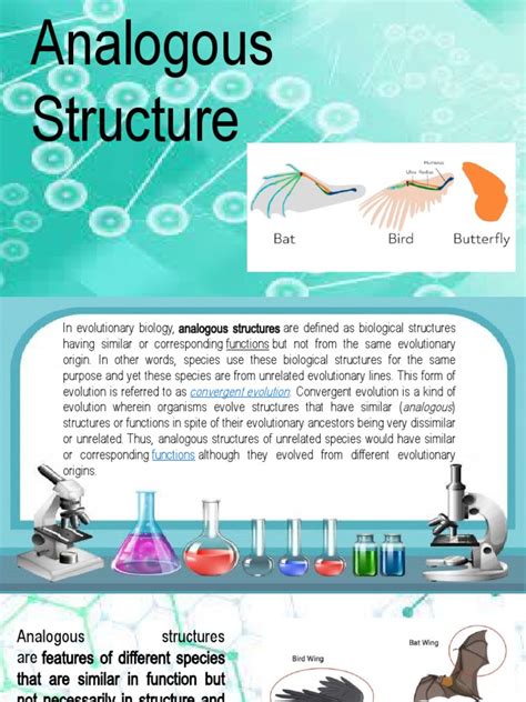 Analogous Structures: Examples of Convergent Evolution Through ...