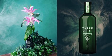 Introducing Three Spirit, a drink that uses plants to mimic alcohol's effects