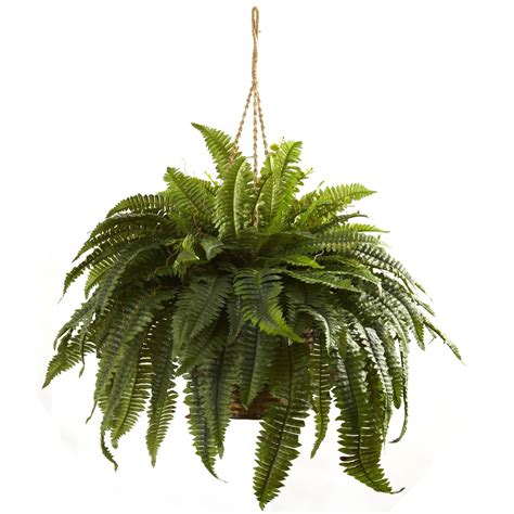 Double Giant Boston Fern Hanging Basket | Nearly Natural