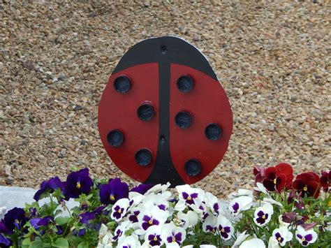 ladybug | Ladybug, Garden art, Art