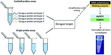 Dengue serotyping with a label-free DNA sensor - Analytical Methods (RSC Publishing)