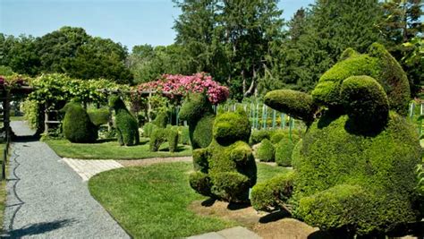 Green Animals Topiary Garden | Portsmouth, RI 02871