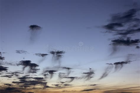 Jellyfish Clouds on Dark Sky Stock Image - Image of shape, warm: 86682651