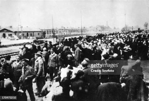 Auschwitz Train Photos and Premium High Res Pictures - Getty Images