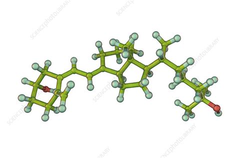 Calcifediol, molecular model - Stock Image - F025/0167 - Science Photo Library