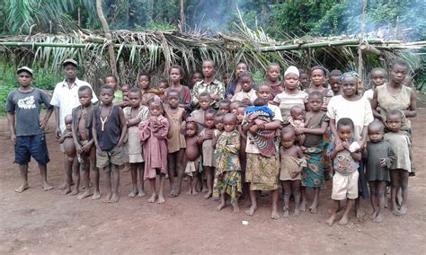 A group of Pygmies in the Democratic Republic of Congo who were educated on malaria and the use ...