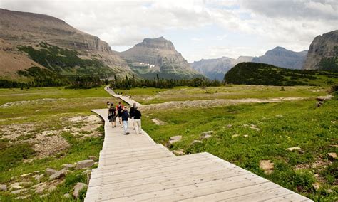 Logan Pass, Glacier National Park Hiking - AllTrips