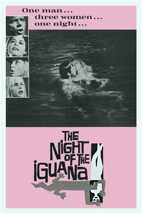 The Night of the Iguana (1964) - Posters — The Movie Database (TMDB)