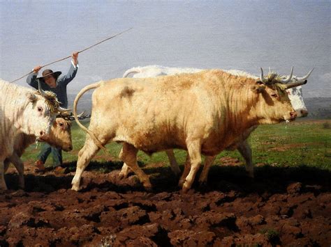 Orsay, The Good Place, Cow, Presents, Flickr, Painting, Artwork, Photography, Inspiration