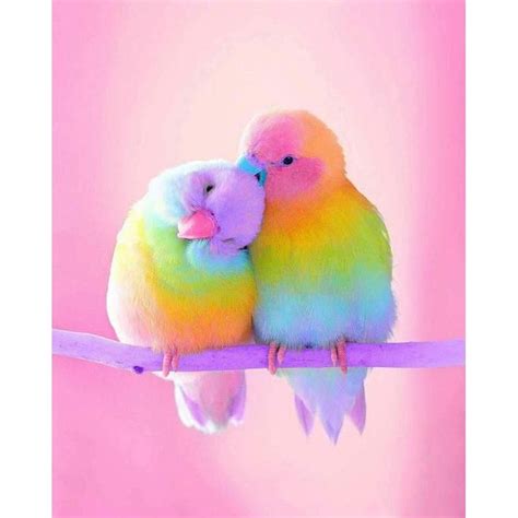 Diamond Painting - Rainbow Parrot - Free worldwide shipping. New ...