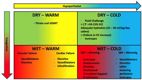 Clinics and Practice | Free Full-Text | Pathophysiology-Based ...