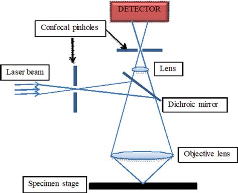 Confocal microscopy – Working principle and applications in dermatology ...