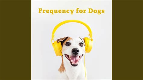 Soothing Dog Music - YouTube