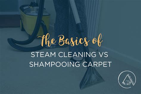 Steam Cleaning vs Shampooing Carpet | Which is better? - Our Blue Ridge ...