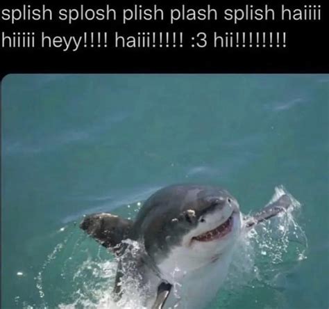 Happy shark 🦈 😀 : r/wholesomememes