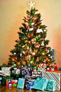 Royalty-Free photo: Green Christmas Tree with gift boxes near glass window during daytime | PickPik