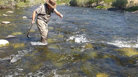 Fly Fishing on the Little Salmon River, Idaho - 9-1-2016 - YouTube