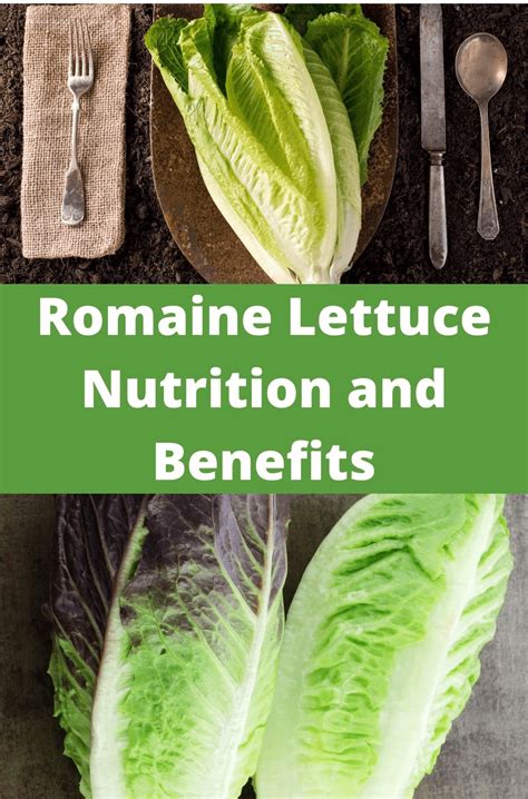 Romaine Lettuce Nutrition and Benefits - Healthier Steps