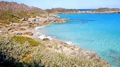 Nonsuch Island - Bermuda petrel - cahow, Bermuda - Webcams