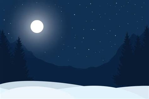 Best Winter Night Illustrations, Royalty-Free Vector Graphics & Clip Art - iStock