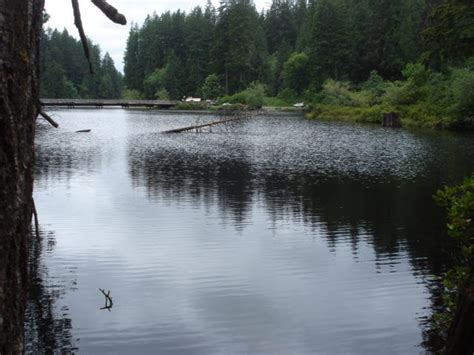 a body of water with trees in the background