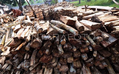 PENJUALAN KAYU BAKAR | ANTARA Foto