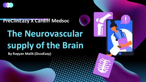 Neuro Slides | Content | MedAll