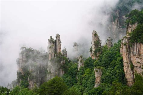 Zhangjiajie National Forest Park Tickets - Klook