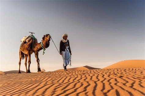 Camel Riding in the Sahara Desert - Moroccan Journeys