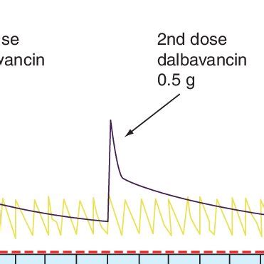 Once-weekly dosing regimen of dalbavancin. Dosed with 1000 mg iv. on ...